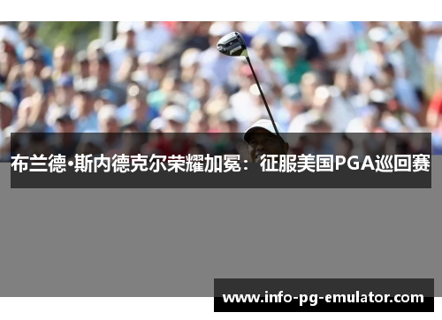 布兰德·斯内德克尔荣耀加冕:征服美国PGA巡回赛 布兰德·斯内德克尔荣耀加冕:征服美国PGA巡回赛