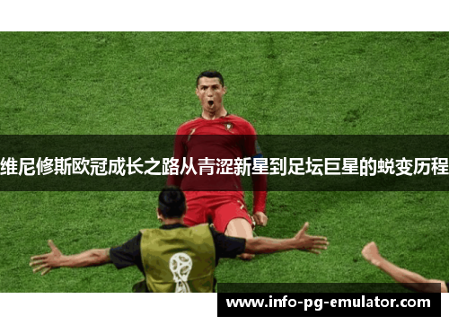 维尼修斯欧冠成长之路从青涩新星到足坛巨星的蜕变历程 维尼修斯欧冠成长之路从青涩新星到足坛巨星的蜕变历程