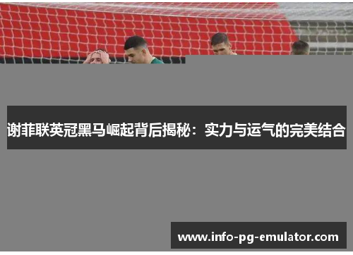 谢菲联英冠黑马崛起背后揭秘:实力与运气的完美结合 谢菲联英冠黑马崛起背后揭秘:实力与运气的完美结合