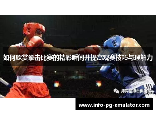如何欣赏拳击比赛的精彩瞬间并提高观赛技巧与理解力