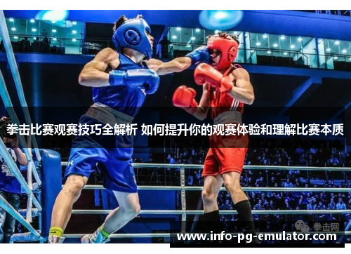 拳击比赛观赛技巧全解析 如何提升你的观赛体验和理解比赛本质