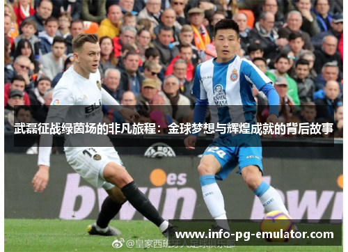 武磊征战绿茵场的非凡旅程:金球梦想与辉煌成就的背后故事 武磊征战绿茵场的非凡旅程:金球梦想与辉煌成就的背后故事