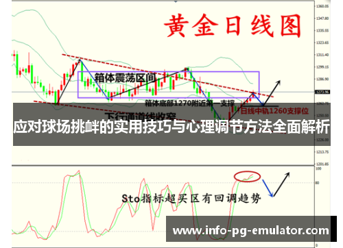 应对球场挑衅的实用技巧与心理调节方法全面解析 应对球场挑衅的实用技巧与心理调节方法全面解析