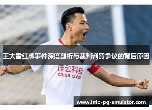 王大雷红牌事件深度剖析与裁判判罚争议的背后原因