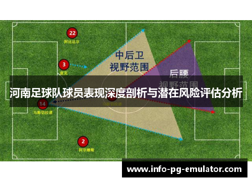 河南足球队球员表现深度剖析与潜在风险评估分析