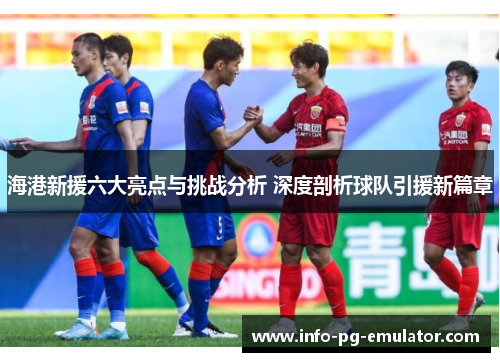 海港新援六大亮点与挑战分析 深度剖析球队引援新篇章 海港新援六大亮点与挑战分析 深度剖析球队引援新篇章