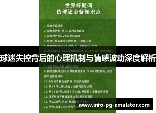 球迷失控背后的心理机制与情感波动深度解析