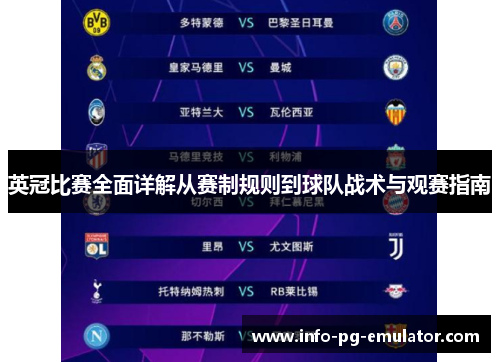 英冠比赛全面详解从赛制规则到球队战术与观赛指南