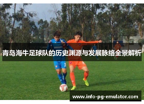 青岛海牛足球队的历史渊源与发展脉络全景解析
